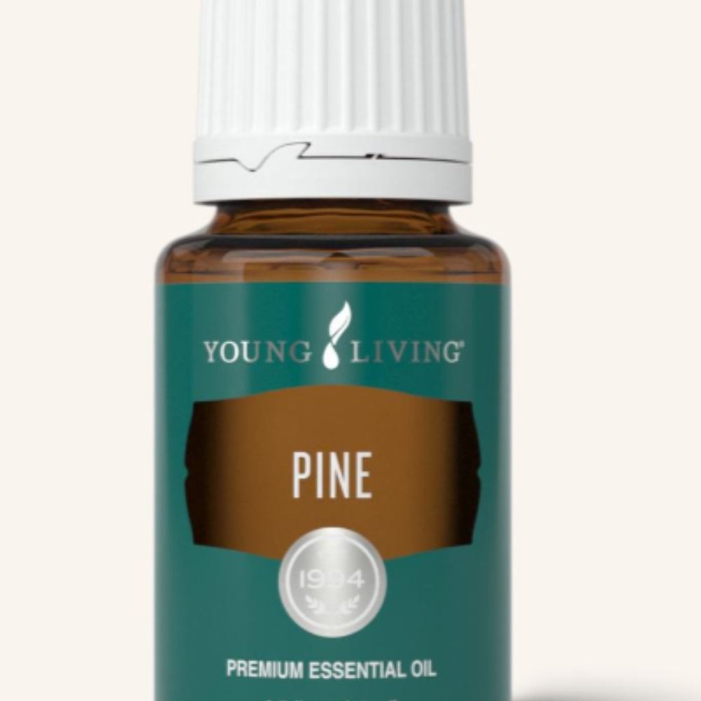 Pine Essential Oil (5ml) Never Opened